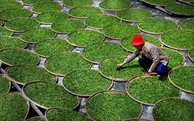 1731312652985607.png t017fcbda9b630e42b6.png